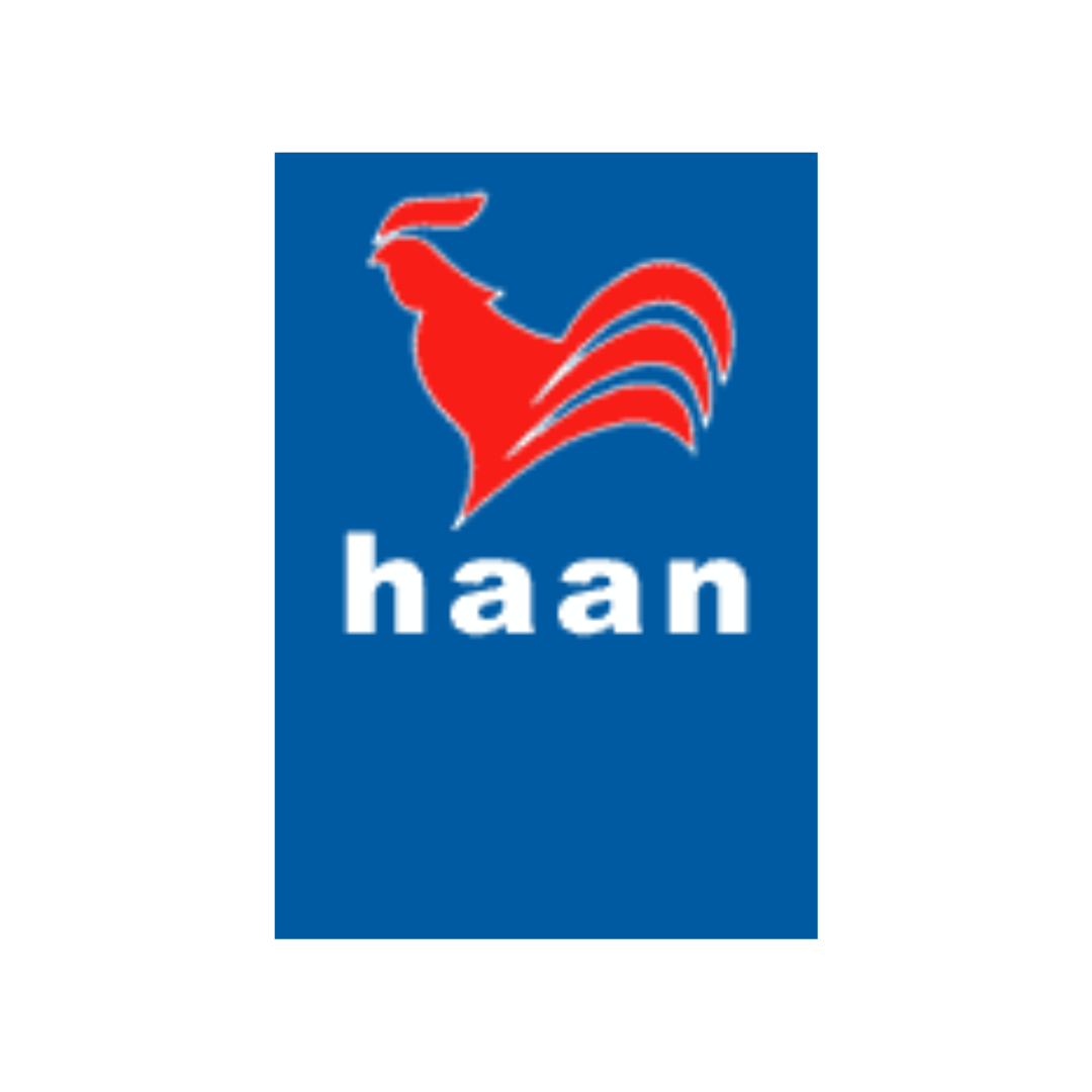 Logo De Haan